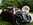 Oldtimer mieten Brautauto: Mercedes Benz 170 S