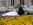 Oldtimer Hochzeitsauto mieten: Rolls-Royce Silver Cloud III 